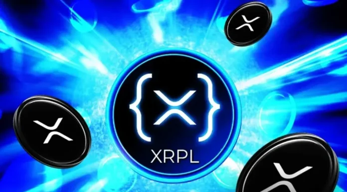 XRPL Transactions Hit 2-Year High as XRP Seen ‘Less Exposed’ to Quantum Threats Than Bitcoin